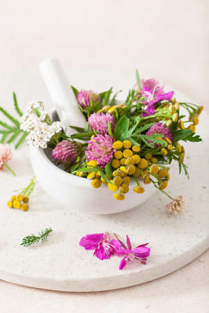 medical flowers herbs in mortar. alternative medicine. clover milfoil tansy rosebayの写真素材