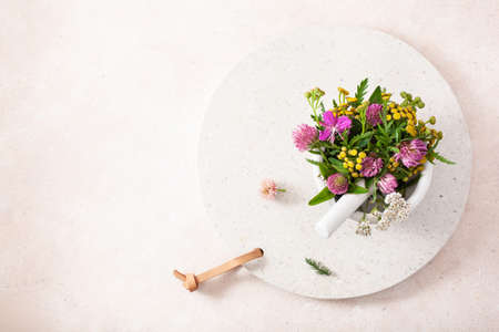 medical flowers herbs in mortar. alternative medicine. clover milfoil tansy rosebayの写真素材