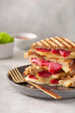 grilled salami and cheese sandwichの写真素材