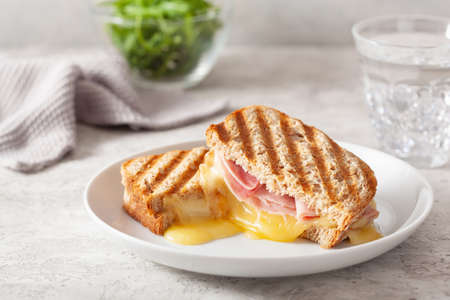 grilled ham and cheese sandwichの写真素材