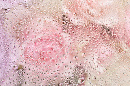 beautiful pink rose flowers through the glass with waterdrops background