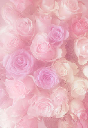 beautiful pink rose flowers through the glass with waterdrops backgroundの写真素材