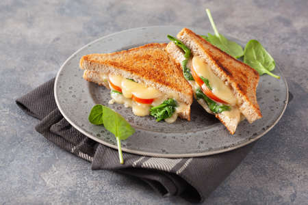 grilled cheese spinach and tomato sandwich on concrete backgroundの写真素材
