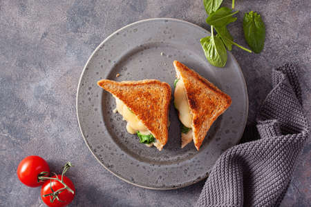 grilled cheese spinach and tomato sandwich on concrete backgroundの写真素材