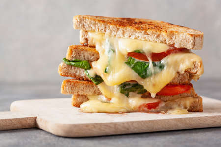 grilled cheese spinach and tomato sandwich on concrete backgroundの写真素材