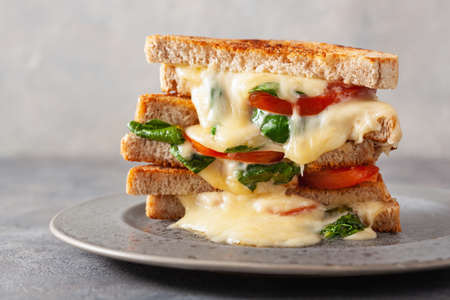 grilled cheese spinach and tomato sandwich on concrete backgroundの写真素材