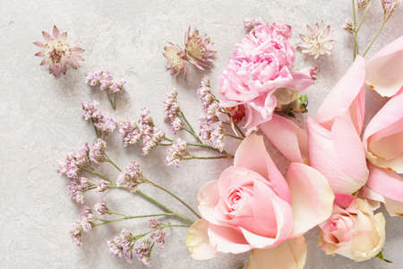beautiful pink rose flowers backgroundの写真素材