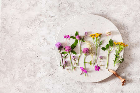 medical flowers herbs, alternative medicine healthy lifestyle. clover milfoil tansy rosebayの写真素材