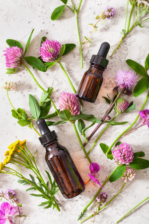 medical flowers herbs essential oils in bottles. alternative medicine. clover milfoil tansy rosebayの写真素材