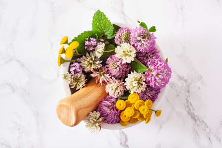 medical flowers herbs in mortar. alternative medicine. clover tansy thyme melissaの写真素材