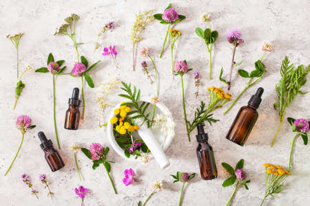 medical flowers herbs essential oils in bottles. alternative medicine. clover milfoil tansy rosebayの写真素材