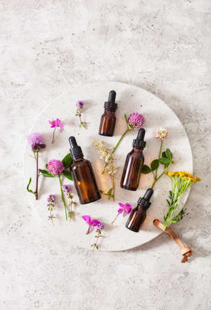 medical flowers herbs essential oils in bottles. alternative medicine. clover milfoil tansy rosebayの写真素材