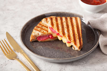 grilled salami and cheese sandwichの写真素材