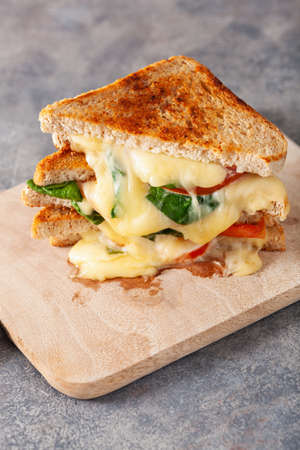 grilled cheese spinach and tomato sandwich on concrete backgroundの写真素材