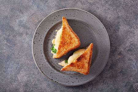 grilled cheese spinach and tomato sandwich on concrete backgroundの写真素材