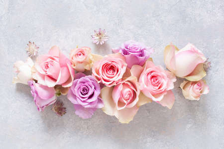 beautiful pink rose flowers backgroundの写真素材