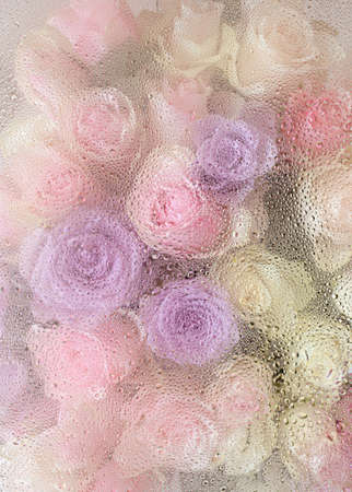 beautiful pink rose flowers through the glass with waterdrops backgroundの写真素材