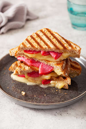grilled salami and cheese sandwichの写真素材