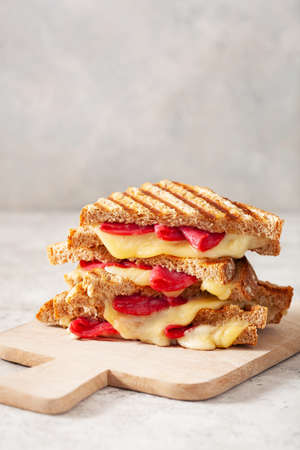 grilled salami and cheese sandwichの写真素材