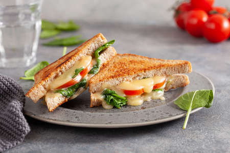 grilled cheese spinach and tomato sandwich on concrete backgroundの写真素材