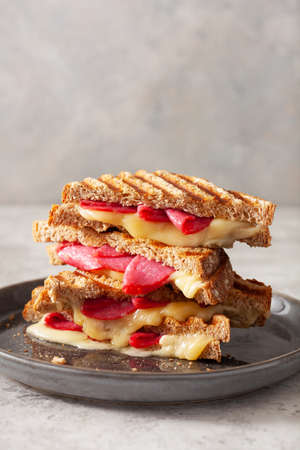 grilled salami and cheese sandwichの写真素材