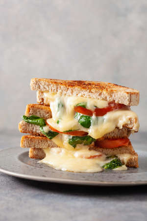 grilled cheese spinach and tomato sandwich on concrete backgroundの写真素材