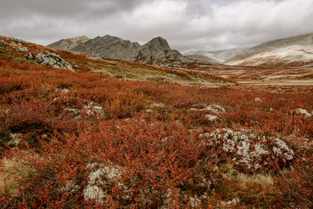 autumn mountain landscape of Rondane National Park in Norway, trail from SmuksjÃ¸seter Fjellstue to Peer Gynt hyttaの写真素材
