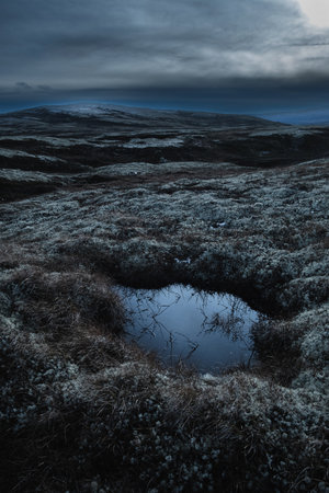 dark moody landscape moonlit puddle in Norwegian mountain at nightの写真素材