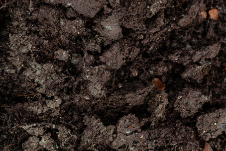 dark muddy soil background, dirty ground and autumn leavesの写真素材