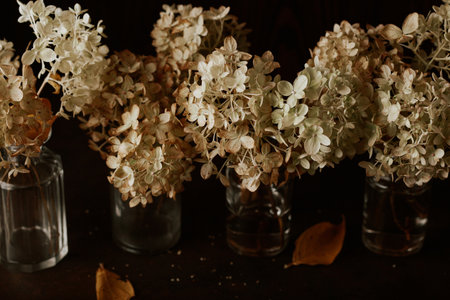 dark moody faded autumn Hydrangea flower, brown fall plants decayの写真素材