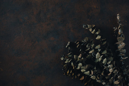 dark moody faded Eucalyptus autumn leaf background, brown fall plants decayの写真素材
