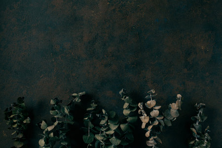 dark moody faded Eucalyptus autumn leaf background, fall plants decayの写真素材