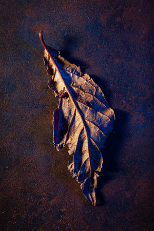 dark moody faded brown and blue autumn leaf background, fall decayの写真素材