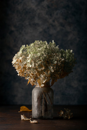 dark moody faded autumn Hydrangea flower, brown fall plants decayの写真素材