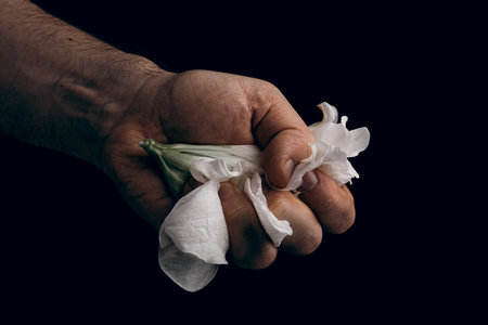 hand crumpling white fragile flower, metaphor of violence abuse aggressionの写真素材