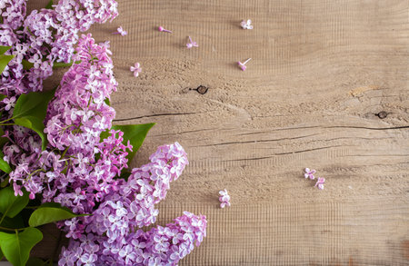 beautiful lilac flowers on wooden backgroundの写真素材