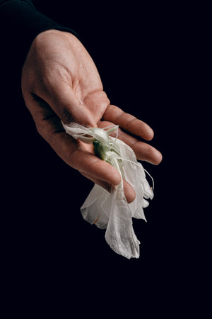 man's hand holding wilted flower, concept of melancholy sadness fatigue despair or depressionの写真素材