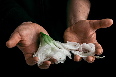 man\'s hand holding wilted flower, concept of melancholy sadness fatigue despair or depressionの写真素材