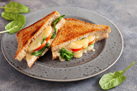 grilled cheese spinach and tomato sandwich on concrete backgroundの写真素材