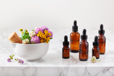 medical flowers herbs in mortar essential oils in bottles. alternative medicine. clover milfoil tansy rosebayの写真素材