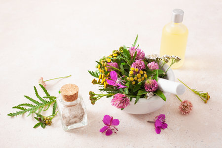 medical flowers herbs in mortar essential oils in bottles. alternative medicine. clover milfoil tansy rosebayの写真素材