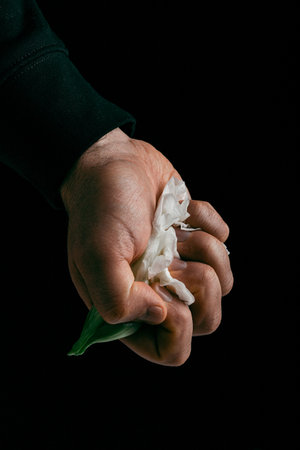 hand crumpling white fragile flower, metaphor of violence abuse aggressionの写真素材