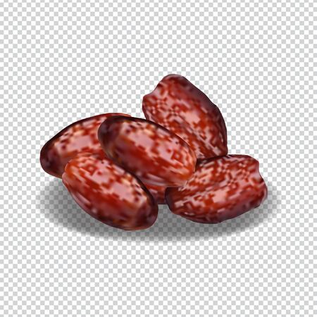 Date palm illustration design vector isolatedのイラスト素材
