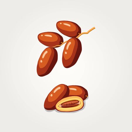 Dates Fruits Food for iftar in Ramadan. flat illustration vector isolated backgroundのイラスト素材