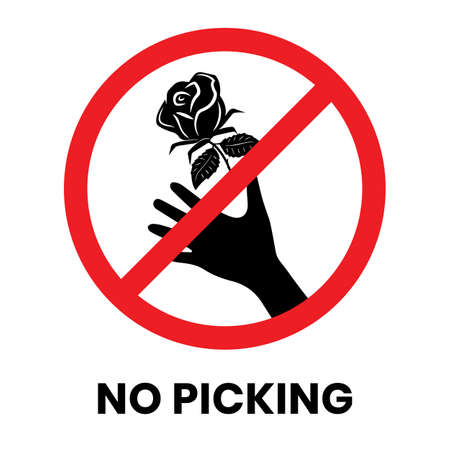 No Barefoot Sign Sticker with text inscription on isolated backgroundのイラスト素材