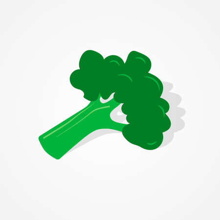 Flat design green broccoli illustration on isolated background vegetable series designのイラスト素材