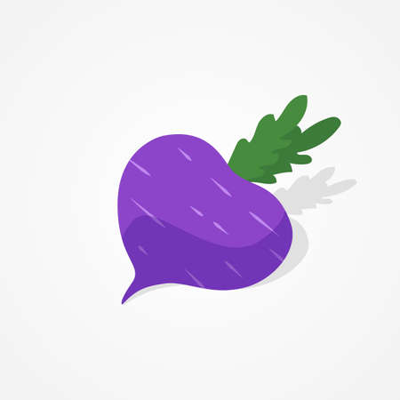 Flat design beetroot illustration on isolated background vegetable series designのイラスト素材