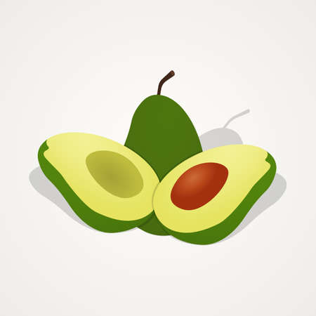 Tropical fruit set of avocado fruit illustration on isolated background designのイラスト素材