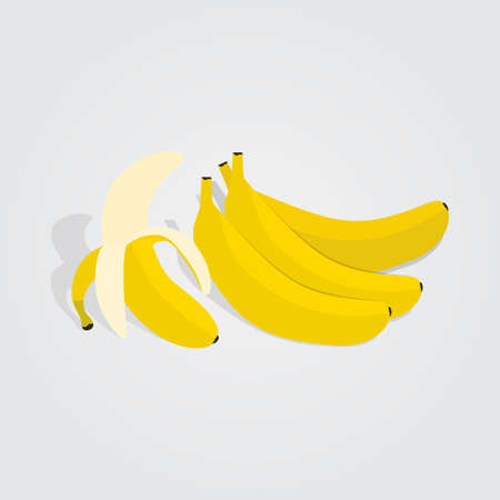 Peeled Bananas with bunch of bananas illustration on isolated background designのイラスト素材