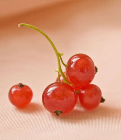 currantsの写真素材